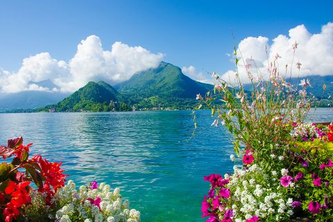 Seeblick und Sommerblumen